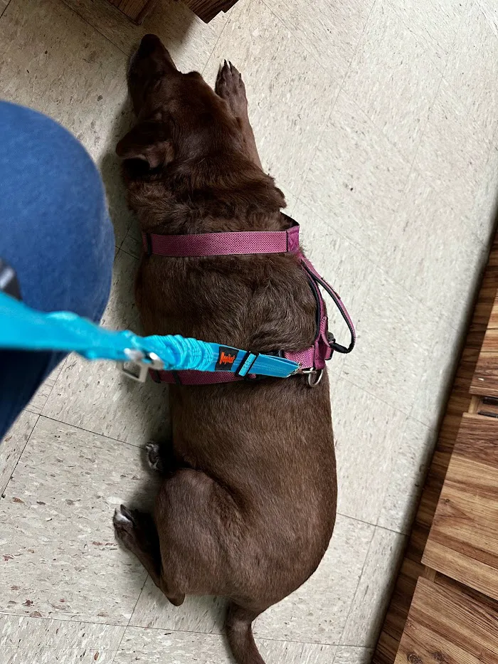 Adkins 301 Pet Hospital LLC 9