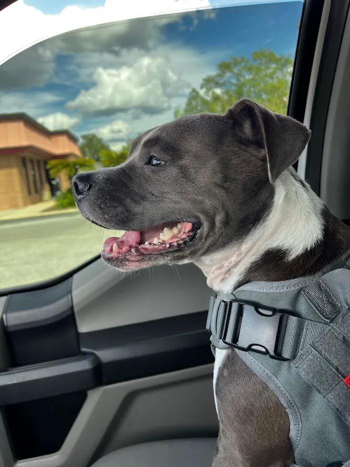 Adkins 301 Pet Hospital LLC 8