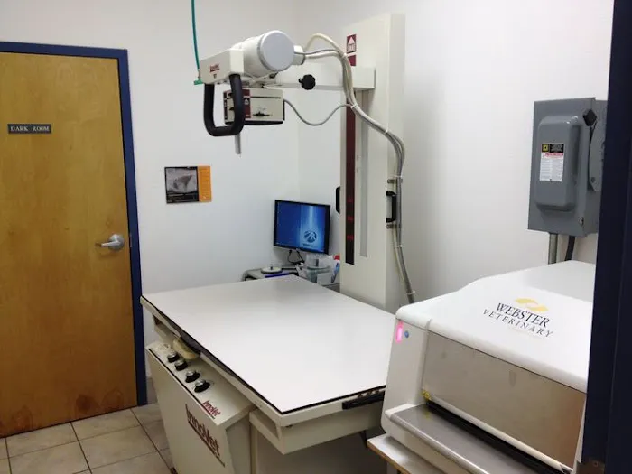 Seminole Trail Animal Hospital 12