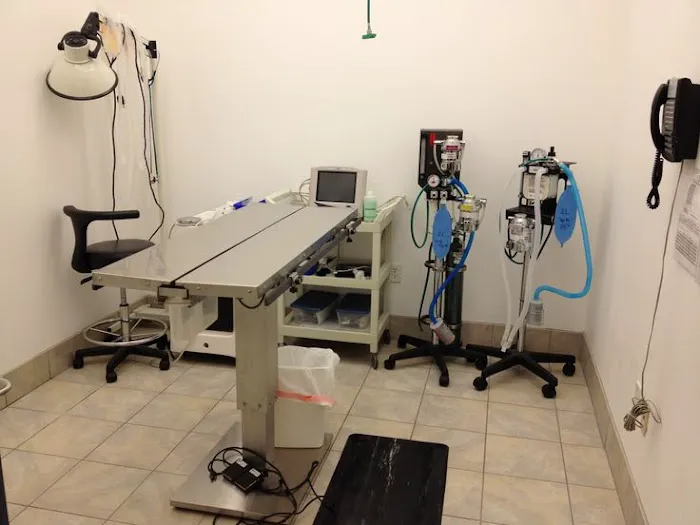 Seminole Trail Animal Hospital 12