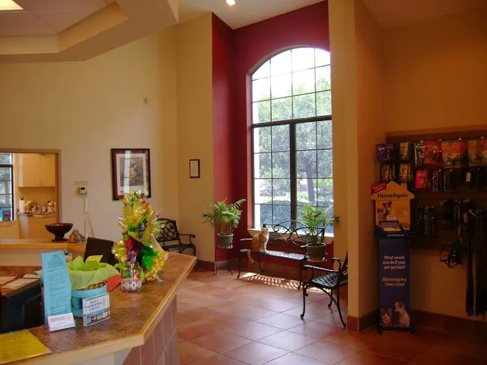 Seminole Trail Animal Hospital 12
