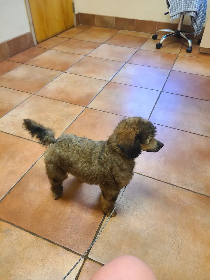 Seminole Trail Animal Hospital 12