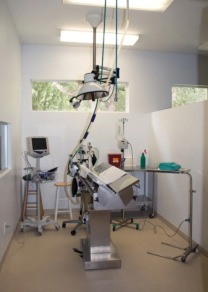 University Animal Hospital 12