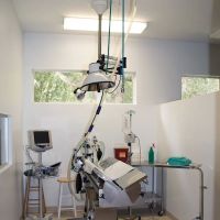 University Animal Hospital ico