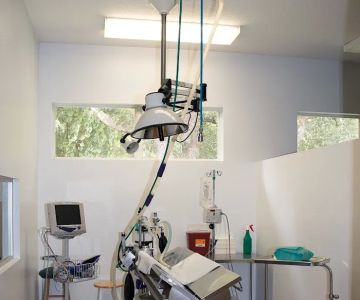 University Animal Hospital