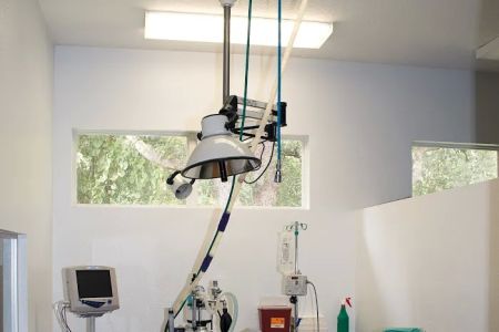 University Animal Hospital