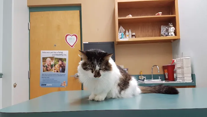 University Animal Hospital 12