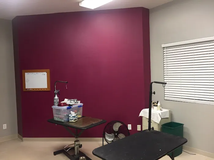 University Animal Hospital 12