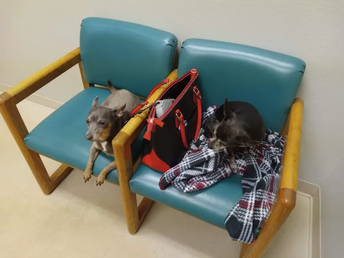 University Animal Hospital 12