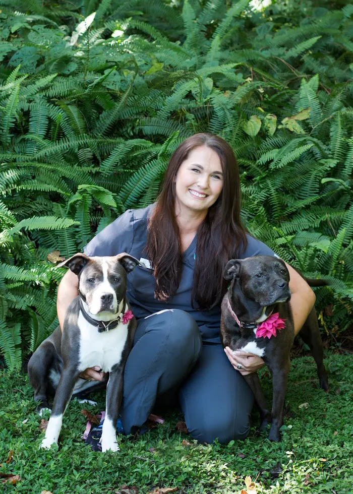 University Animal Hospital 12