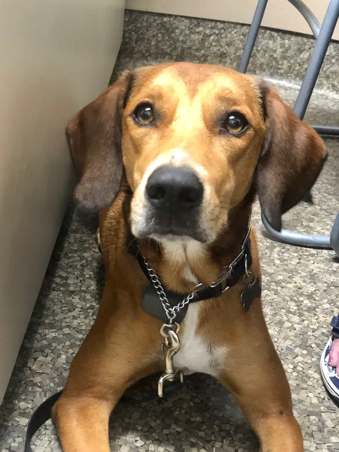 Alafaya Trail Animal Hospital 12