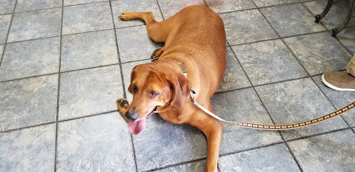 Broadway Animal Hospital 12
