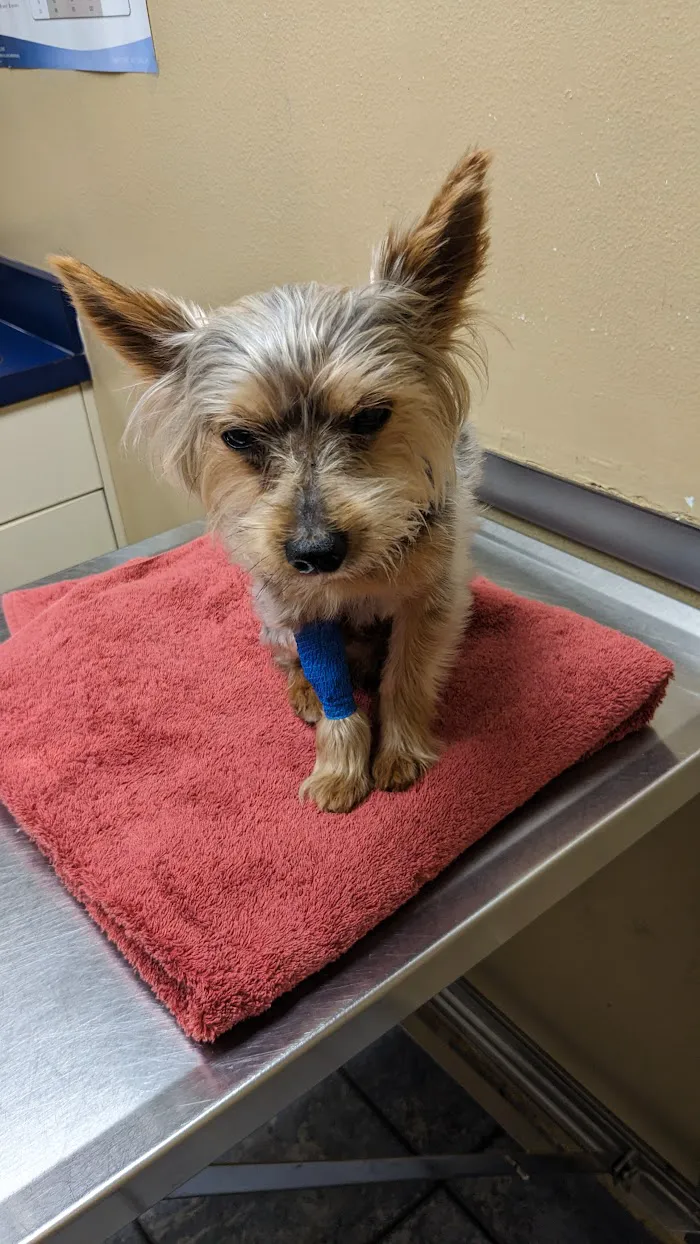 Broadway Animal Hospital 12