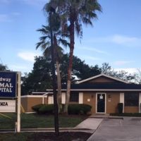 Broadway Animal Hospital ico