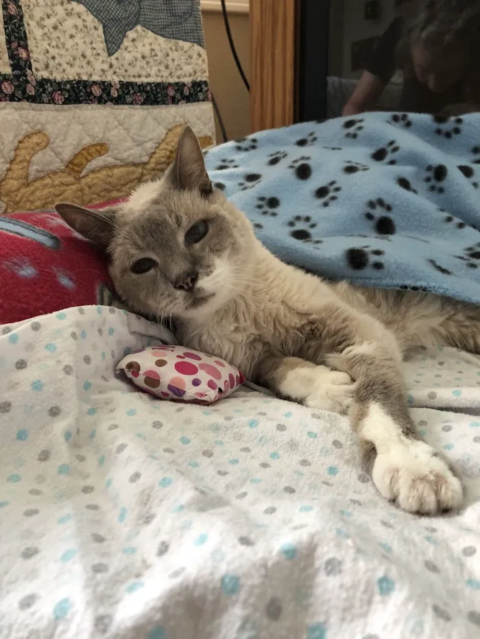 Claws & Paws Animal Hospital 12