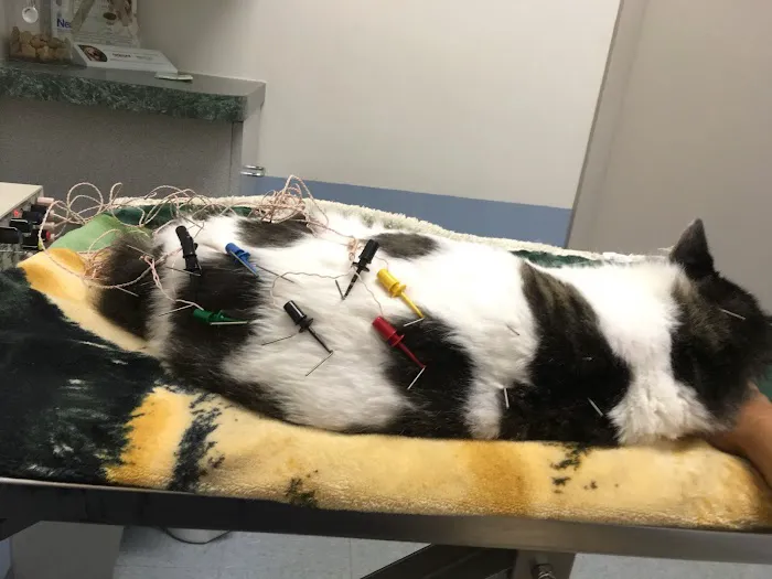 Claws & Paws Animal Hospital 12