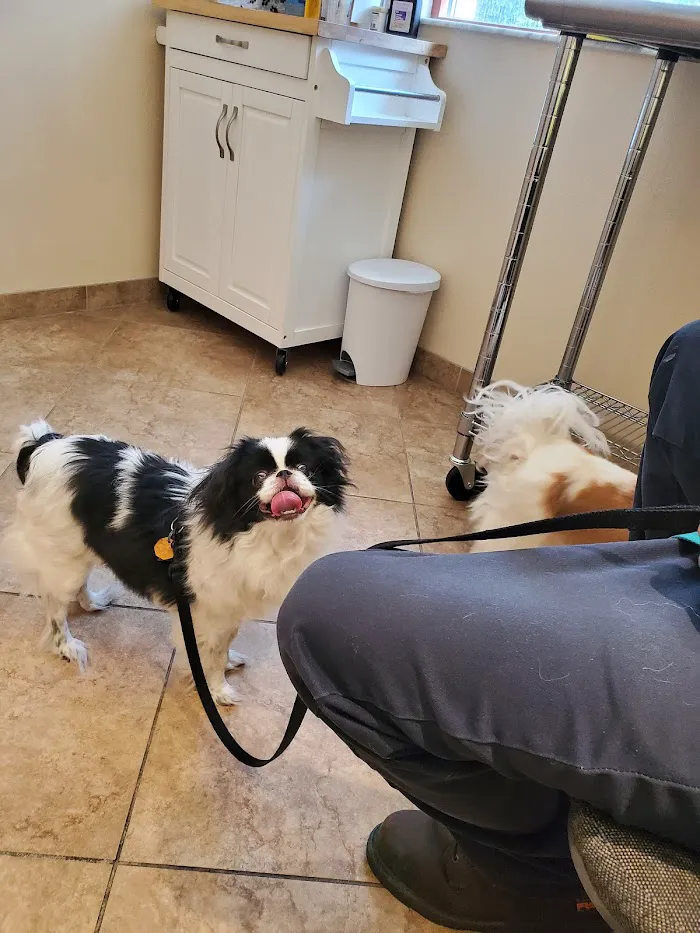 Central Florida Animal Hospital 12