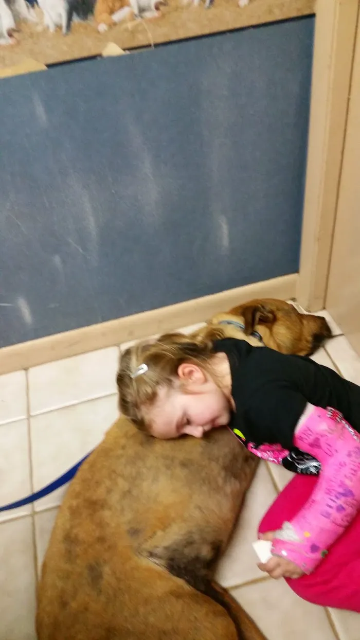 Town & Country Veterinary Clinic 12
