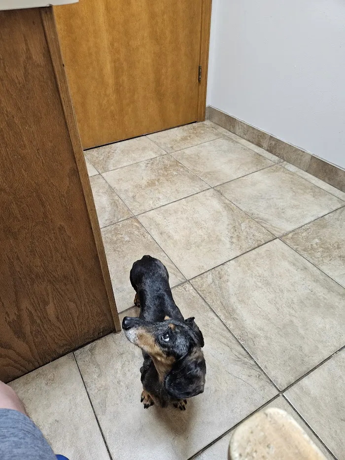 Oviedo Animal Hospital 12