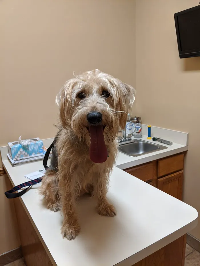 Oviedo Animal Hospital 12
