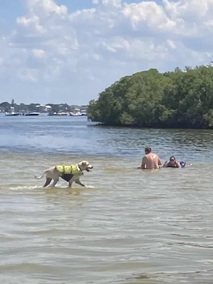 Tampa Bay Veterinary Specialists & Emergency Care Center 10