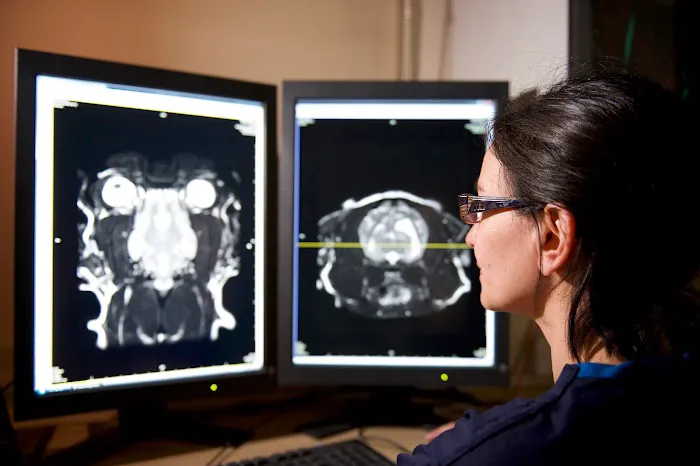 VET.CT - Teleradiology | Teleconsulting | Education 12