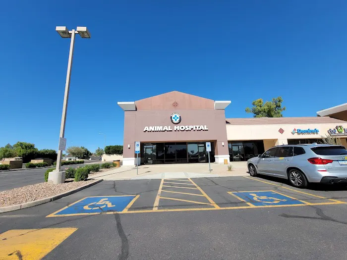 Paradise Point Animal Hospital with Veterinarians On-The-Go 1