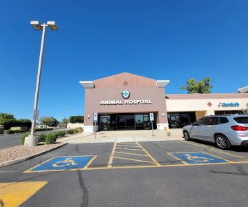 Paradise Point Animal Hospital with Veterinarians On-The-Go