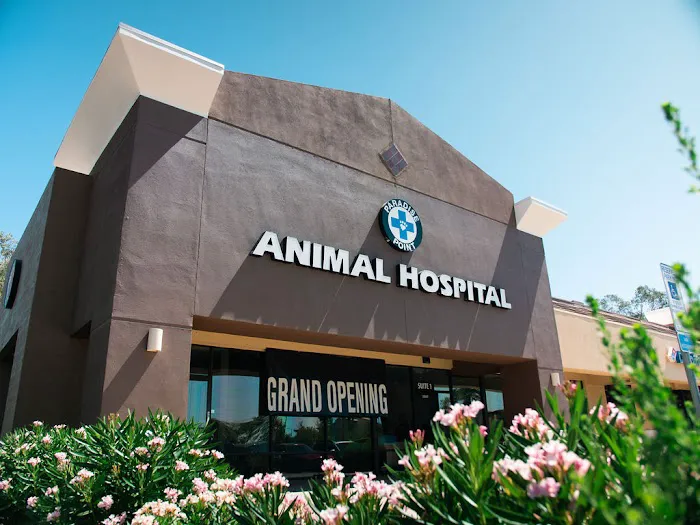 Paradise Point Animal Hospital with Veterinarians On-The-Go 3