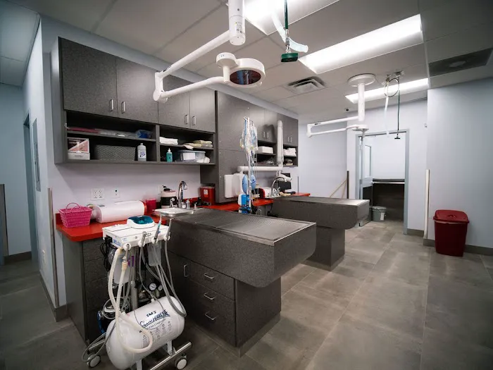 Paradise Point Animal Hospital with Veterinarians On-The-Go 2