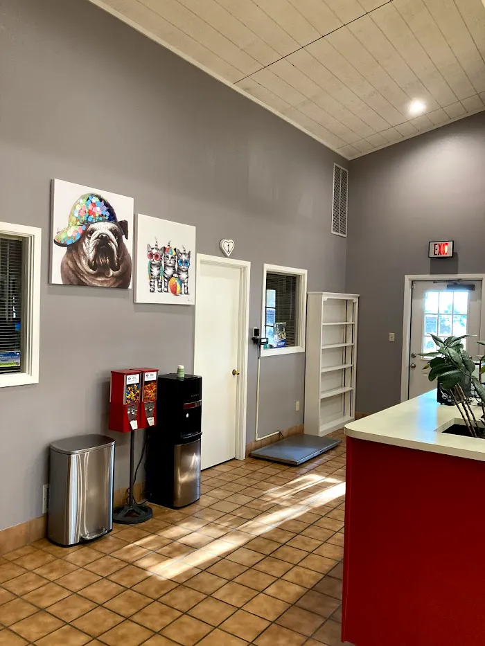 Cactus Pet Hospital LLC 6
