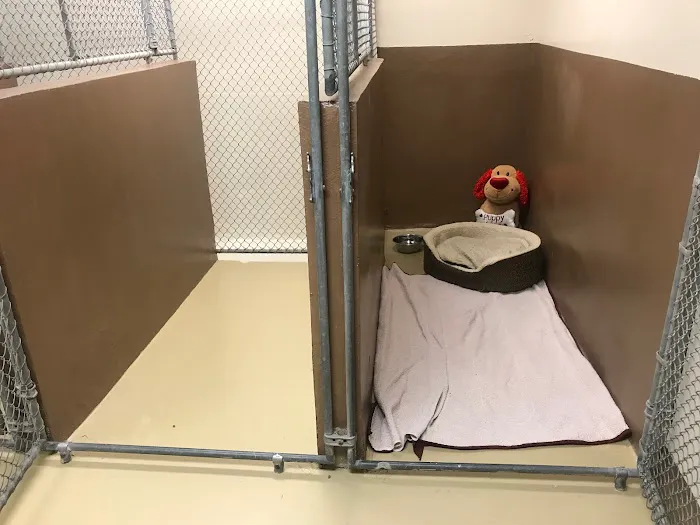 Cactus Pet Hospital LLC 4