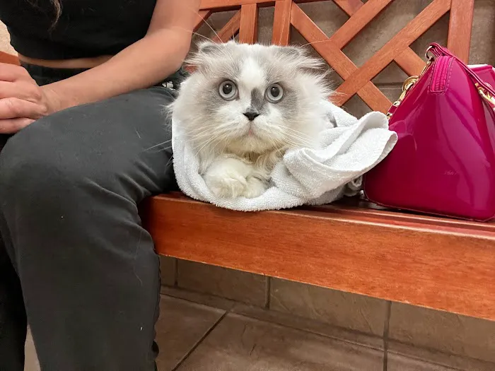 4th Street Pet Hospital 12