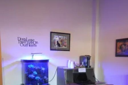 4th Street Pet Hospital