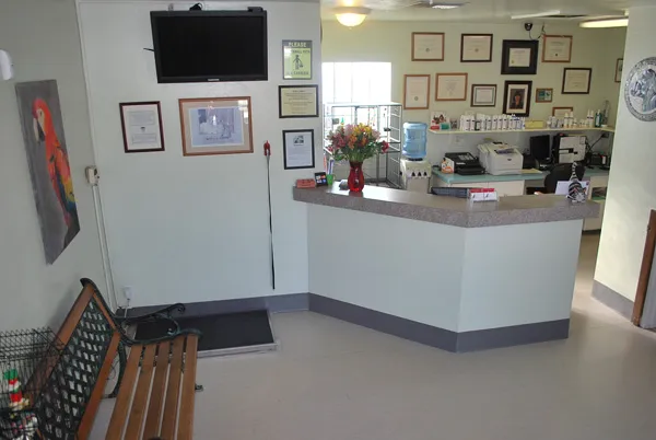 North Central Animal Hospital 3