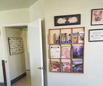 North Central Animal Hospital