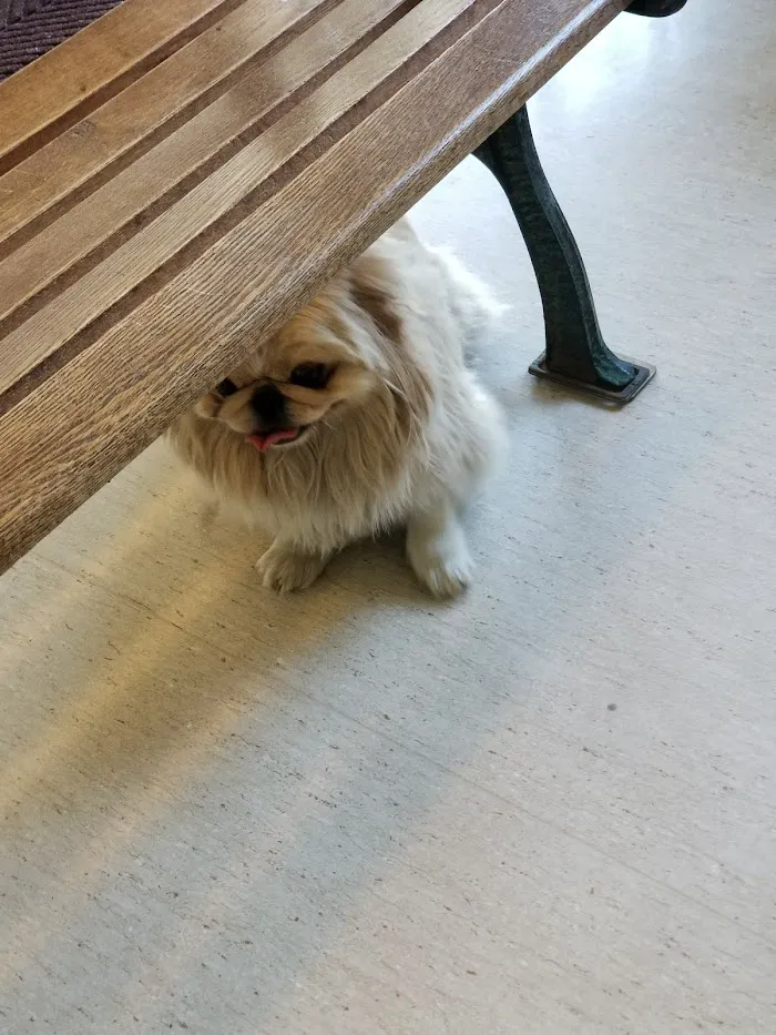 North Central Animal Hospital 5