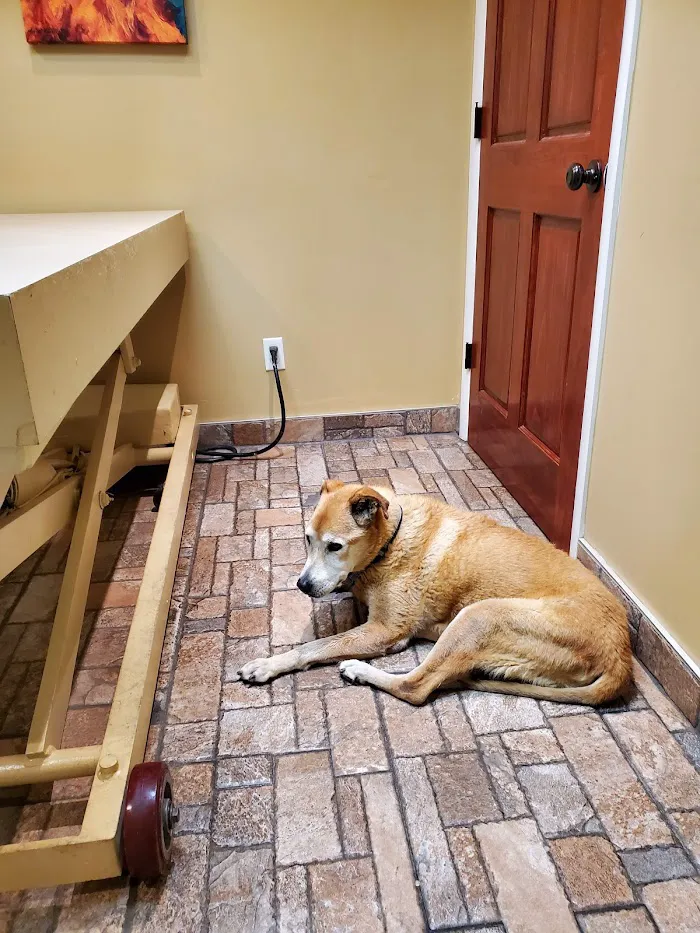Catalina Animal Hospital 8