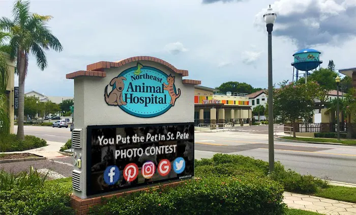 Northeast Animal Hospital 12