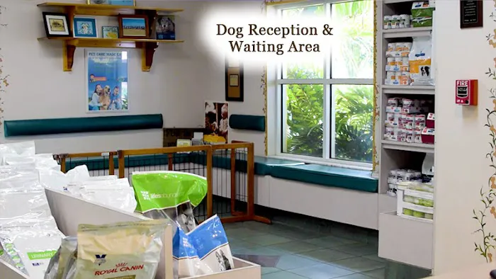 Northeast Animal Hospital 12