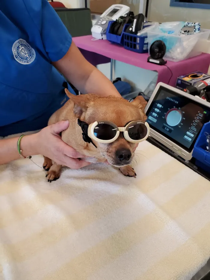 Midwestern University Companion Animal Clinic 5