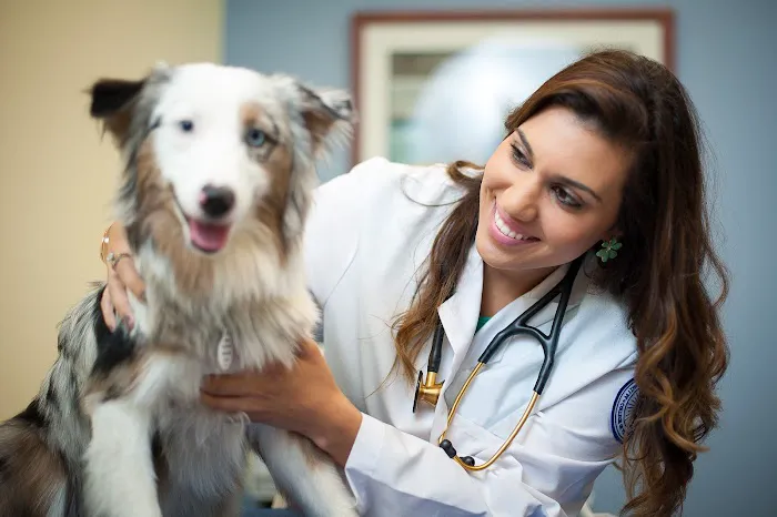 Midwestern University Companion Animal Clinic 1
