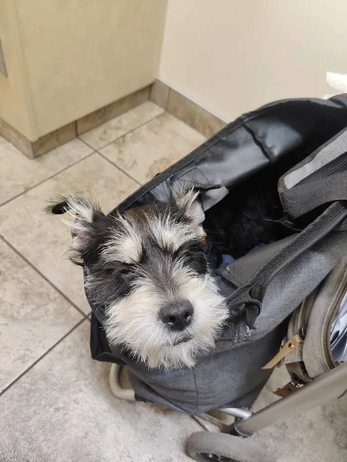 Norterra Animal Hospital & Grooming 10