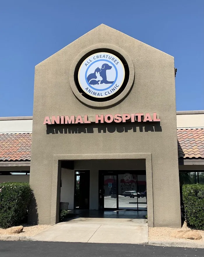 All Creatures Animal Clinic 1