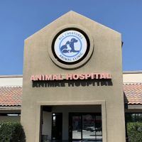 All Creatures Animal Clinic ico