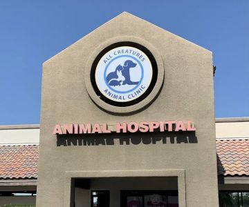 All Creatures Animal Clinic