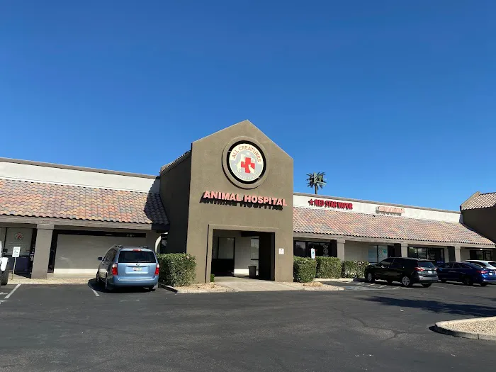 All Creatures Animal Clinic 9