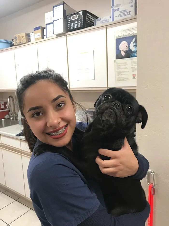 Orangewood Animal Hospital - Now Palo Verde Animal Hospital 4