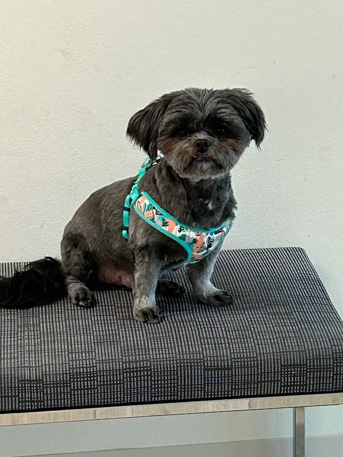 Parrish Veterinary Clinic & Urgent Care 12