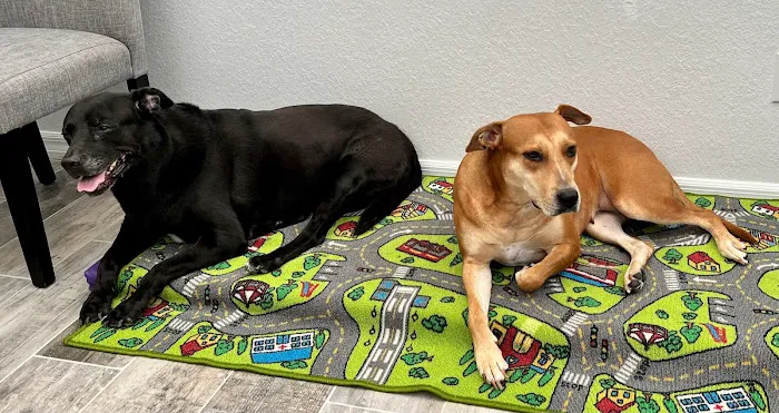 Parrish Veterinary Clinic & Urgent Care 12